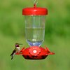 Perky-Pet 135TF “Perky’s Finest” 16 oz Plastic Top Fill Hummingbird Feeder, Red