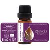 Essences Bulgaria Organic Mountain Savory Essential Oil 1/3 Fl Oz | 10ml | Satureja Montana | 100% Pure and Natural | Undiluted | Therapeutic Grade | Family Owned Farm | Steam-Distilled | Non-GMO
