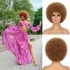 G&T Wig Afro Puff Wigs for Black Women 70s Wigs Natural Looking Fluffy and Bouncy Afro Curly Wigs for Daily Party Use (30#)