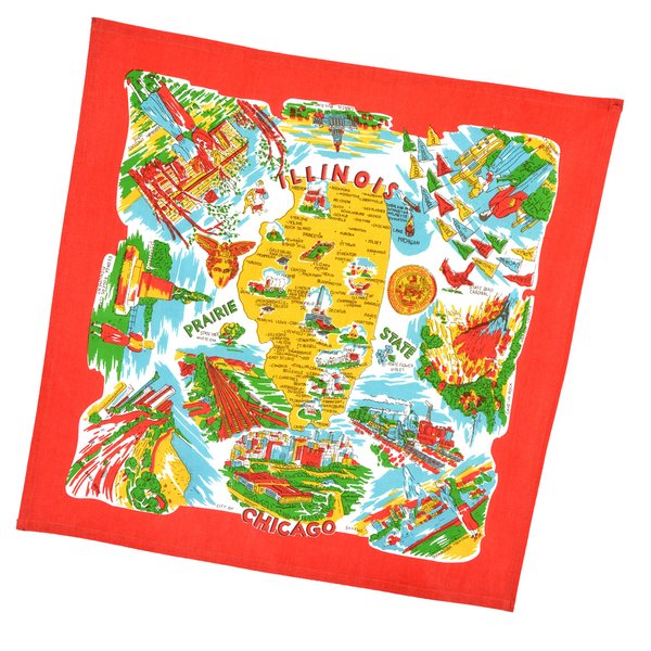 Illinois State Souvenir Dish Towel
