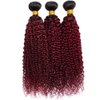 Ombre Human Hair Bundles Burgundy Kinky Curly Bundles Human Hair 18 20 22 Inch Unprocessed Brazilian Human Hair Bundles Red Wine Curly Wave Human Hair Extensions 3 Bundles
