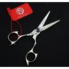 Purple Dragon 5.0 inch 440C Sliver Salon Hair Cutting Scissors Barber Shears with Bag- Perfect for Professional Hairdresser