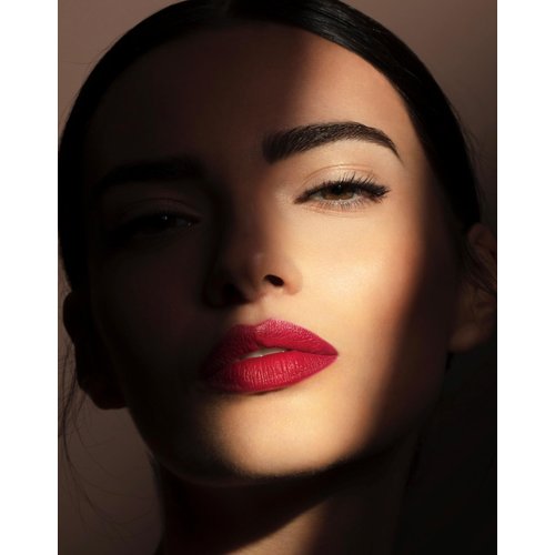 Pupa Milano True Lips Blendable Lip Liner - Dual-Ended Matte Lining Color and Brush - Light and Creamy, Hydrating, High Pigment, Smudge Proof Formula - Paraben Free - 022 Plum Brown - 0.042 oz