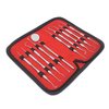Plaque Remover Kit Set of 10 Oral Hygiene Tools Professional Dental Picks Double & Single Ended Picks with Scraper, Mouth Mirror for Gum Care Cleaning Set Stainless Steel with Carrying Case