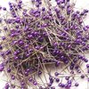 LEFV™ Quilting Pins Ball Head Sewing Pins,Pack of 100,Purple