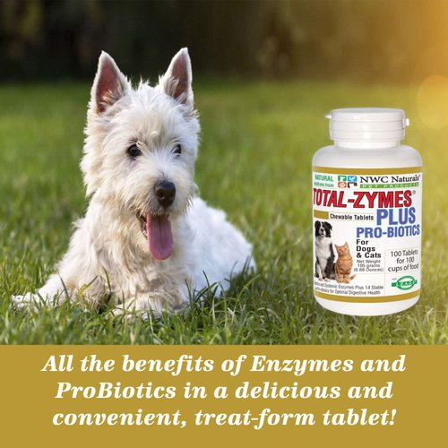 NWC Naturals Total-Zymes Plus Vegetarian Digestive Enzymes for Dogs & Cats, Supports a Healthy Digestive Tract & Immune System, Advanced Probiotics & Prebiotics- 100 Chewable Tablets