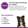 Vet Classics Antioxidants with Coenzyme Q-10 for Dogs, with Alfalfa, Green Tea, Vitamin C, & Wheat Grass, 120 Chewable Tablets