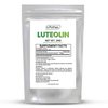 ePothex Pure Luteolin Powder 24 Grams, Brain and Nervous System Support, Promotes Immune Functionality, Maximum Absorption