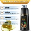 GDRFNP Black Hair Dye Shampoo 3 in 1, Herbal Shampoo Hair Dye for Women Men, Grey Coverage Shampoo 16.9fl oz (black)