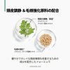AMOS PROFESSIONAL The Green Tea Moisturizing Pack, Hair & Scalp Treatment for Thinning Hair, Korean Hair Mask, Strengthening Hair, All Hair Types, 8.4 fl.oz