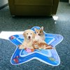 WAURCSY Water Sensory Playmat for Cats Thickened Upgraded Cat Dog Toys Bored Pet Animals Cat Kicker Toys Self Play Mat Interactive Toys Pet Water