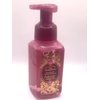 Danburry Shortbread Gentle Foaming Hand Soap 8.75 Ounce Full Size Pump Bottle Wash