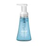 Method Foaming Hand Soap, Sea Minerals, 10 oz, 1 pack, Packaging May Vary