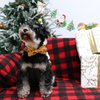 Lionet Paws Thanksgiving Day Dog Collar with Bowtie, Dog Bowtie Collar with Metal Buckle for Dogs, Adjustable Comfortable Turkey Dog Collar Girl Boy Gift, L, Neck 16-24 in