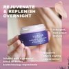Lumene Ajaton Radiant Youth Night Cream - Rejuvenating Anti Aging Moisturizer with Antioxidants - Face Cream for Fine Lines and Wrinkles - Skin Firming + Rejuvenating Night Face Cream (50ml)