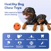PETOPIA Pomelo Dog Toy, Natural Rubber Chew Toy, Treat Dispensing Dog Puzzle Toy, Interactive Dog Toy for Aggressive Chewers, All Breed Sizes