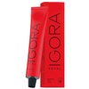Schwarzkopf Igora Royal 5-68 Light Brown Chocolate Red Permanent Hair Color and M Hair Designs Tint Brush (Bundle 2 items)
