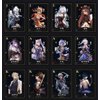 YJacuing Genshin Impact Black Gold Playing Cards, Collectible Poker Deck of Cards Game Merch