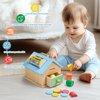 Montessori Toys for 1 2 3 Years Old Boys and Girls 5 in 1 Wooden Baby Drop Toys,Woode Shape Sorting and Stacking Learning Toys for Toddlers Wooden Toy for Kids Age 12 Months Gift for Kids