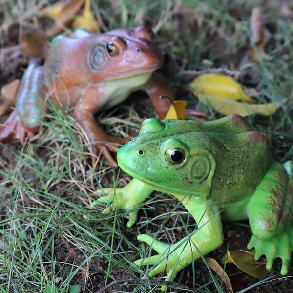 SCAHOW Realistic Tree Frog Figure Plastic Hand Painted Bullfrog Figurine Educational Rubber Animal Model Toys for Kids Children