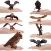 8 PCS Eagle Animal Figures Model Owl Woodpecker Figurines Family Party Supplies Cake Toppers Collection Desktop Decoration Development Set Cognitive Toy for 5 6 7 8 Years Boys Kid Toddlers