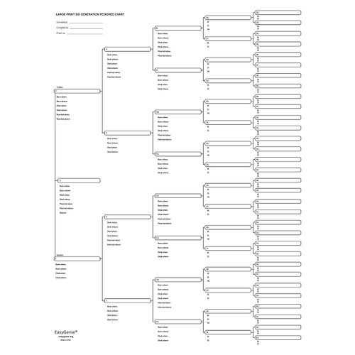 EASYGENIE 10 LARGE PRINT Six Generation Pedigree Charts for Ancestry | Archival-Quality Genealogy Forms