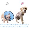 Dog’s Recovery Suit Post Surgery Shirt for Female Male Dog, E-Collar Alternative Wound Protective Clothes (Purple stripe-2xl)