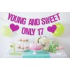 Young and Sweet Only 17 Banner, Girls 17th Birthday Decorations, 17th Birthday Decorations for Girls, Seventeen Year Old Party Supplies Rose Red