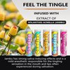 Xero Picks - Infused Flavored Toothpicks for Long Lasting Fresh Breath - Variety Packs (Candies, 5 Pack)