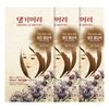 Daeng Gi Meo Ri – Korean Herbal Hair Dye Color Cream [Light Brown] (3 PACK) - PPD-Free Gray Coverage, Hair Protection, High-Keratin Formula, 8.47 Oz