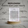 DIY Lash Extension Segment/Clusters with Portable Lash Tray, 72 Reusable Segmented Lashes In 10mm, (Soft, Lightweight And Microband) Individual Lashes Eyelash Extensions, DIY at Home, Beginner Friendly - New Tomorrow Lash(Oh-So-Natural Tray - 10mm)