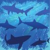 Creative Converting Shark Splash 3-Ply Beverage Napkins