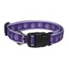 Purpletopia Paw Print Dog Collar