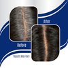 No Gray Permanent Root Touch up in Ultra Dark Brown (PPD and Ammonia Free)