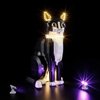 LIGHTAILING Light for Lego-21349 Tuxedo Cat - Led Lighting Kit Compatible with Lego Building Blocks Model - NOT Included The Model Set