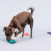 Fringe Studio Plush Dog Toy Set, Any Fin is Possible, Small 3 Piece Set, Pet Shop Collection (662084)