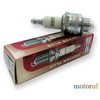 Champion RJ19LM Engine Spark Plug
