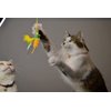 NECOICHI Crinkly Critters Bouncy Bee Adjustable Cat Wand No.1 Selling Cat Toy in Japan