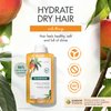 Klorane Nourishing Shampoo with Mango Butter, Moisturize and Hydrate Dry Hair, Paraben, Silicone, SLS Free, 13.5 Fl Oz, 3282770106404