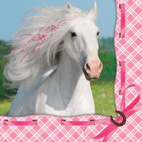 Heart My Horse Luncheon Napkin (16) Birthday Party Supplies