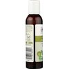 Aura CACIA Eucalyptus Massage Oil, 4 FZ