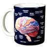 WILD COTTON Brain 11 Ounce Ceramic Coffee Mug (WC462M)