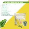 Go-Lacta 100% Organic Premium Moringa Capsules for Breastfeeding - Build Breast Milk Supply Before Birth - Healthy Breastfeeding for Mom and Baby - Increase Breast Milk Supply