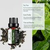 Tea Tree Essential Oil Organic Plant & Natural Pure Oil for Diffuser, Humidifier, Massage, Sleep, Bath, Skin & Hair Care 2 Pack x10ml