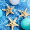 4 Pieces Starfish Hair Clip Mermaid Crown Mermaid Hair Accessories Mermaid Hair Clips Resin Sea Star Hairpins Pretty Beach Hairpin Hair Barrettes Mermaid Accessories for Women Girls(Starfish)