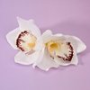 Vividsun Hawaiian Orchid Hair Clip, Orchid Flower Hair Clip For Women, Girl, Beach Summer Hair Accessories