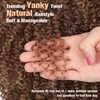 Fancy Hair Short Kinky Curly Wigs Brown Side Part Afro Wigs for Black Women Synthetic Yanky Twist Out Wig Natural Hairstyle for Daily Use (T30/27#)