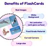 hungry brain Flash Cards for Toddlers, 24 Sea Creatures Flashcards, Double-Sided, Montessori, Educational, Kindergarten - Preschool Learning Activities, Gifts for Kids, 1, 2, 3, 4 Years Babies