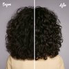Marc Anthony Curl Envy Cream, Strictly Curls - Curl Defining Cream Softens Coarse Curls, Adds Bounce & Fights Frizz with Avocado Oil & Shea Butter - Sulfate-Free Hair Products for Curly Hair - 6 Oz