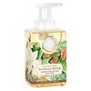 Michel Design Works Foaming Hand Soap, 17.8-Ounce, Vanilla Palm